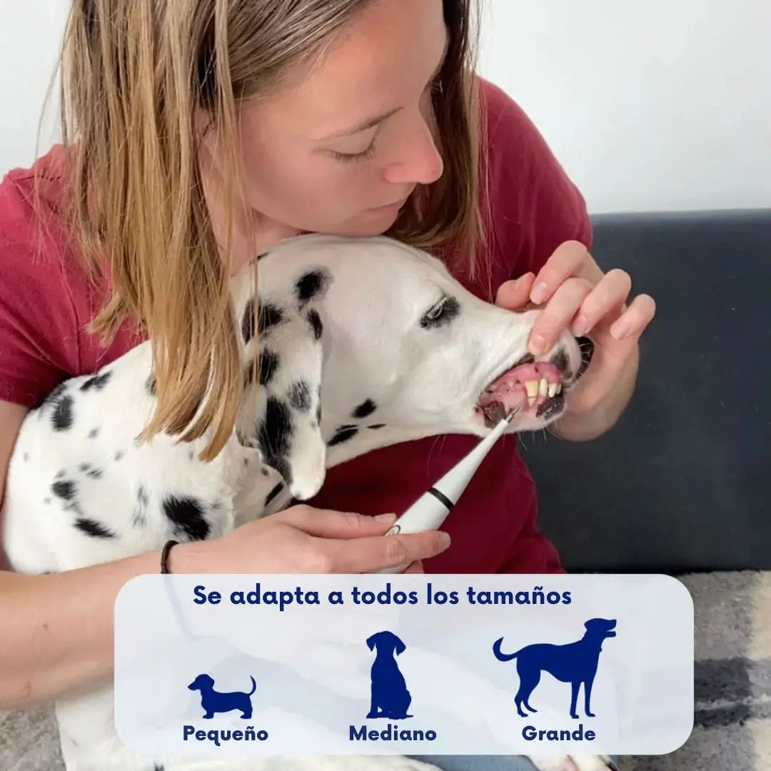 FreshFang™ Mejora la salud dental de tu mascota desde casa