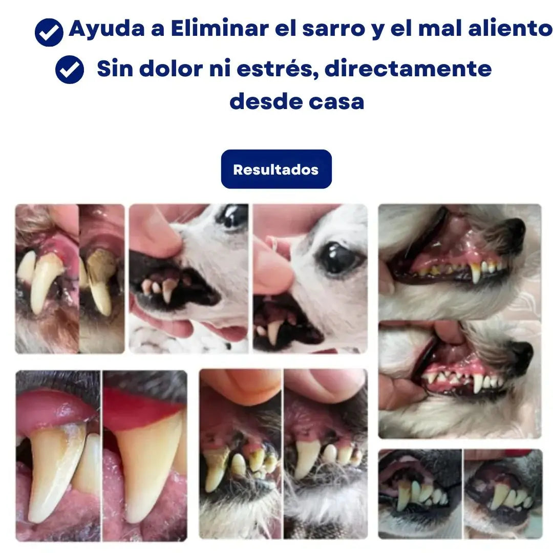 FreshFang™ Mejora la salud dental de tu mascota desde casa