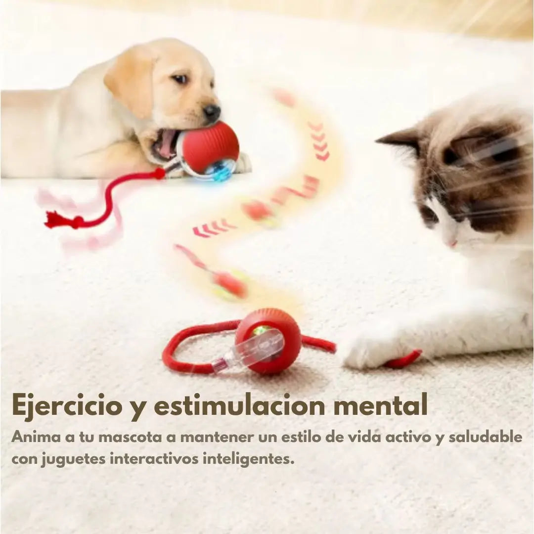 SmartBall®- Manten a tu mascota sana y feliz