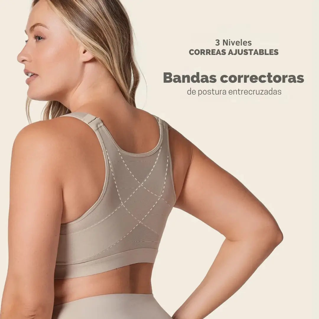 CurveXpert – Eleva, Corrige y Define tu Figura