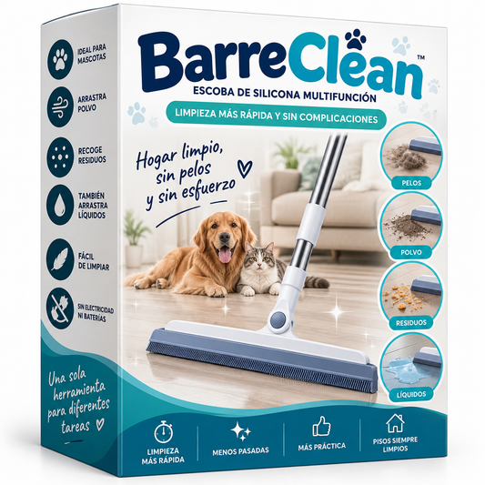 BarreClean