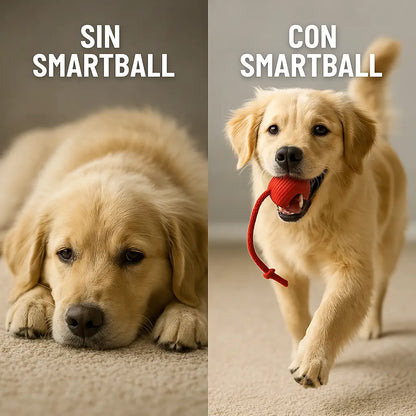 SmartBall®- Manten a tu mascota sana y feliz